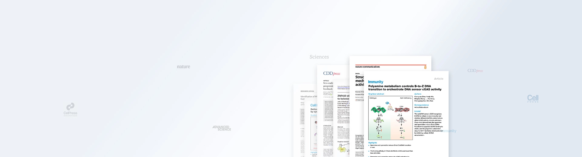 citation-literature-banner