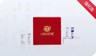 高效能单克隆基因型鉴定试剂盒(免抽提)