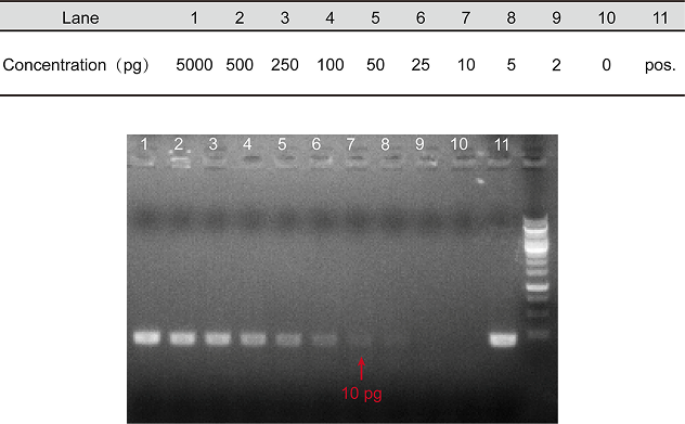 查体系灵敏度测试
