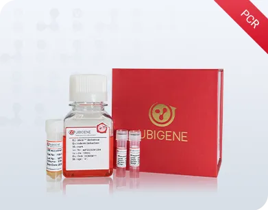 EZ-Stem™ 定形内胚层诱导试剂盒