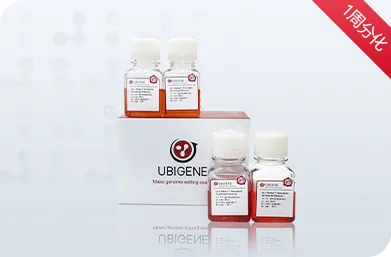 EZ-Stem™ 定形内胚层诱导试剂盒