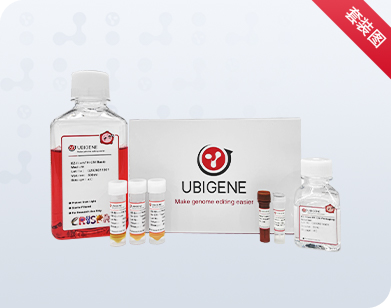 EZ-Stem™心肌细胞扩增体系