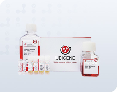 EZ-Stem™ 心肌分化试剂盒