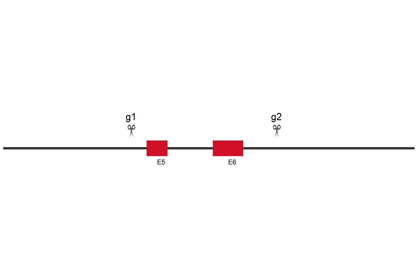 LYPLA2 基因敲除细胞(ARPE-19) 敲除区域