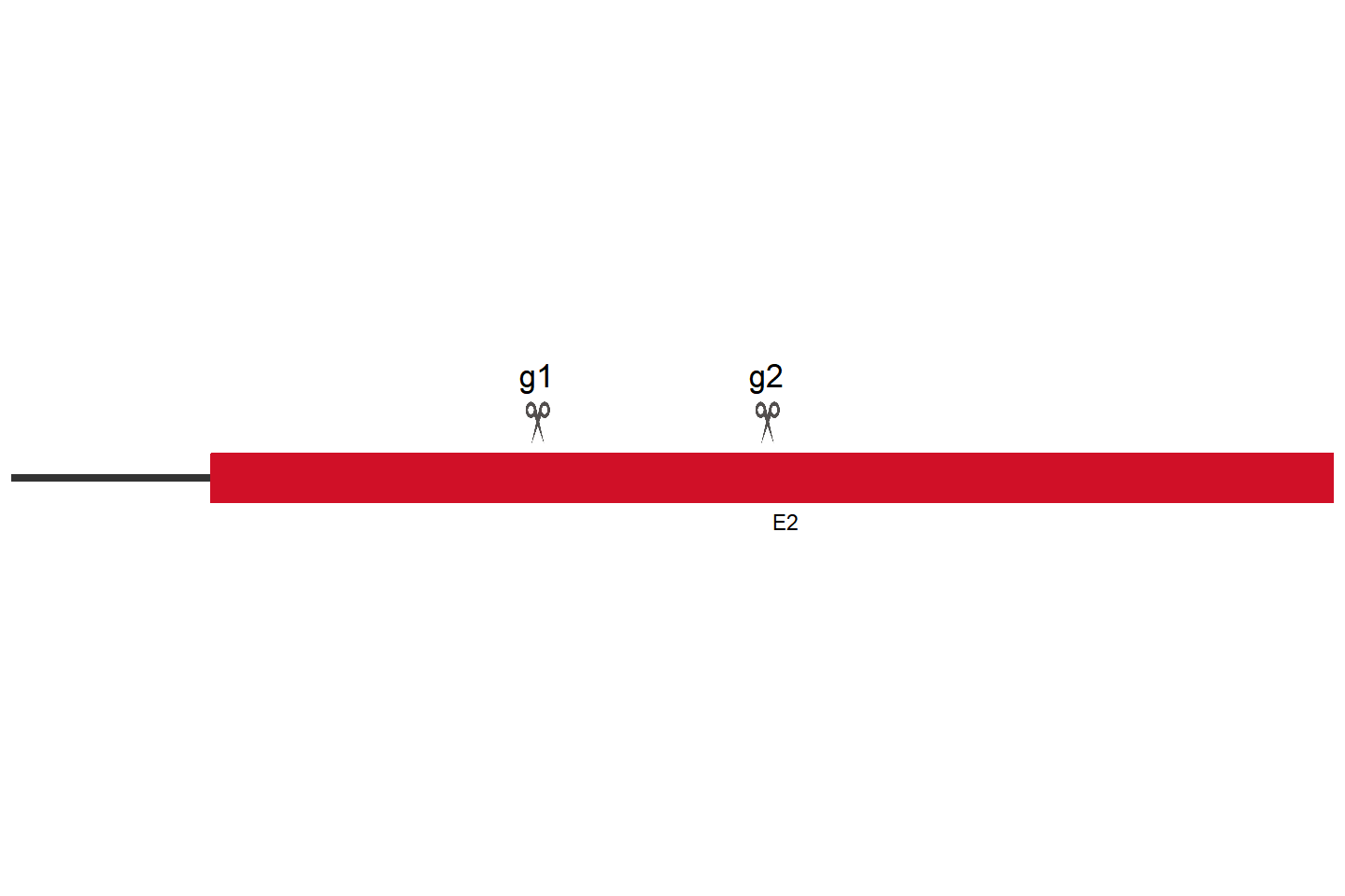 F2R 基因敲除细胞 (Jurkat) 敲除区域