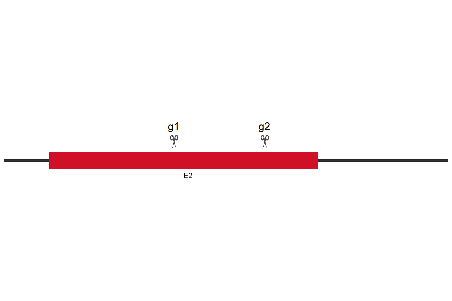 PCSK1N 基因敲除细胞 (Hep G2) 敲除区域
