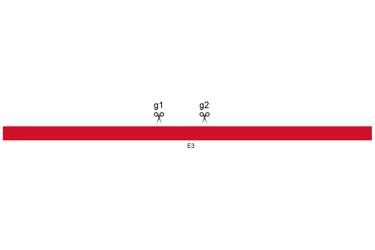 LIG4 基因敲除细胞 (HeLa) 敲除区域