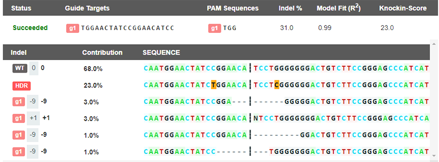 EZ-editor GAS小工具分析出同源重组基因型分析结果