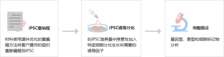 iPSC诱导分化流程