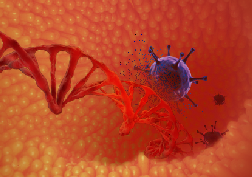 CRISPR/Cas9系统究竟对RKO细胞做了什么？