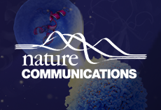 连续三篇Nature子刊！源井基因敲除细胞系助力揭秘p53与BCL-2的互作机制