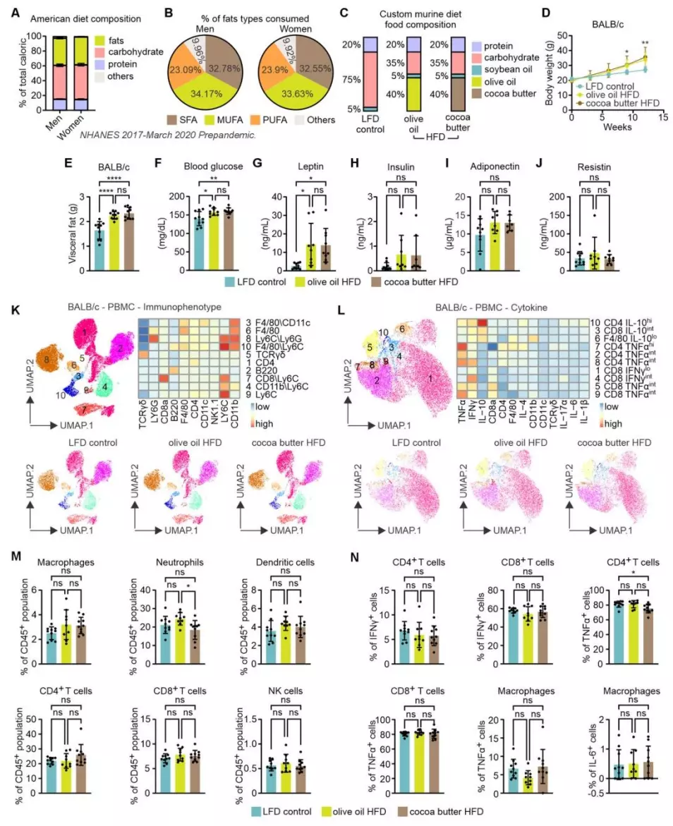 图一:可可脂高脂饮食与橄榄油高脂饮食诱导的肥胖程度相似
