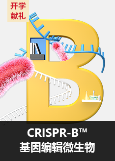 CRISPR-B™基因编辑微生物
