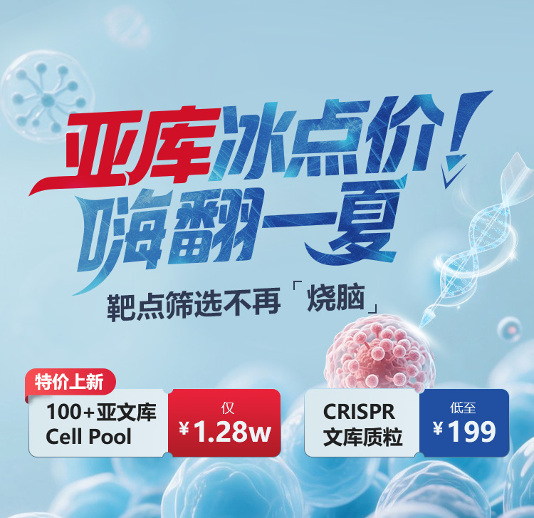 亚库冰点价，嗨翻一夏！