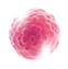 cell