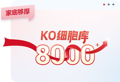 KO细胞现货库