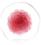 cell pool