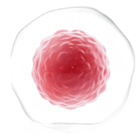 cell pool