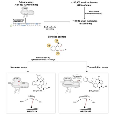 源井生物 SpCas9 Cell, 2019, doi:10.1016/j.cell.2019.04.009