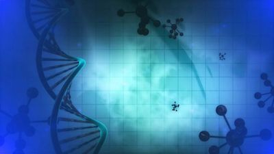 源井生物 DNA Www.pixabay.com