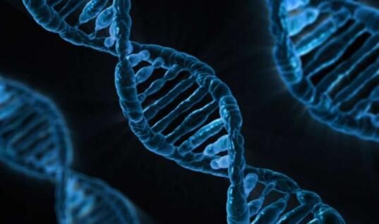 DNA