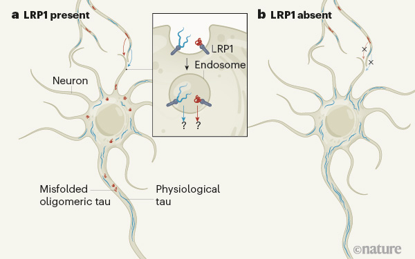 源井生物 LPR