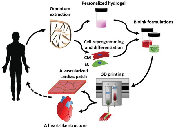 源井生物 图4：利用3D打印心脏组织的实验流程图[6]。