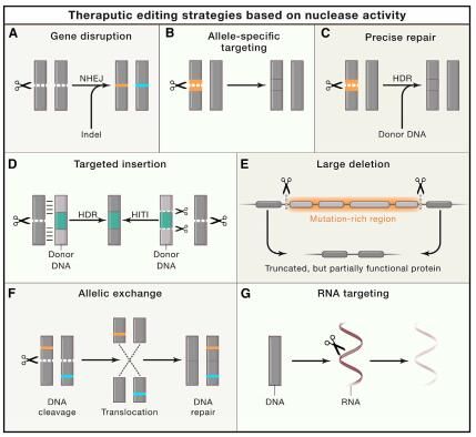 源井生物 Dan Wang,et al. Cell,doi:10.1016/j.cell.2020.03.023