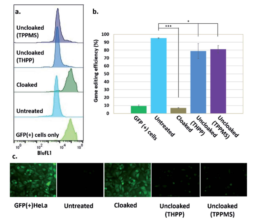 磷化氢控制人类细胞中被“遮盖”的CRISPR–Cas9活性