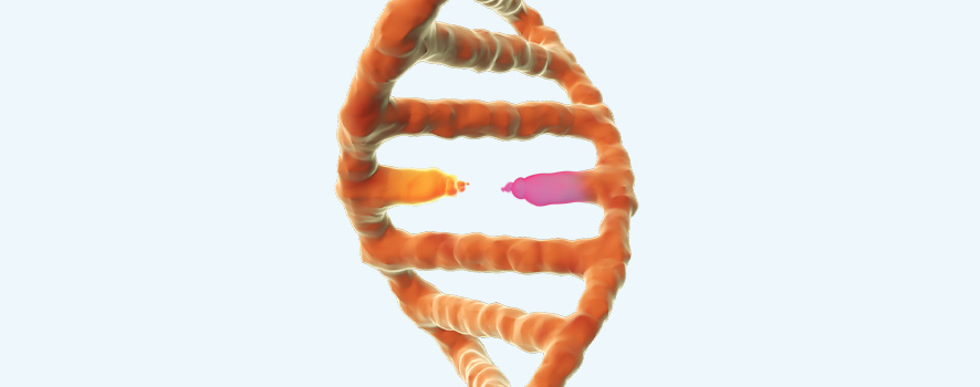 基因点突变