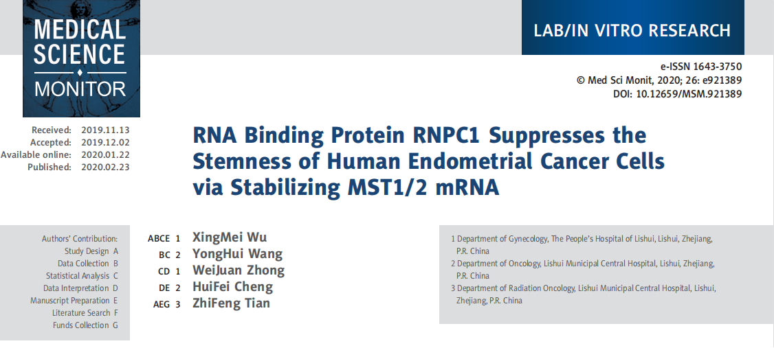 研究发现RNPC1结合MST1/2 mRNA，激活Hippo通路，对MST1/2的抑制可以减轻RNPC1过表达对EC细胞球干性的抑制。