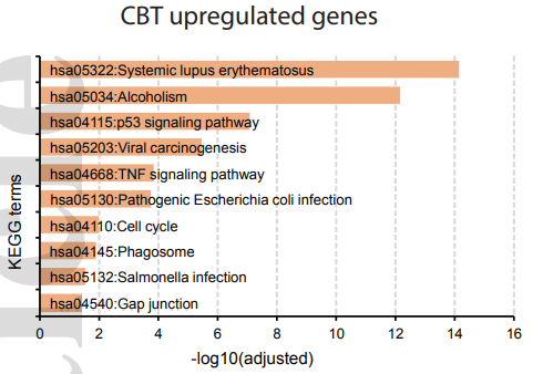CBT上调基因