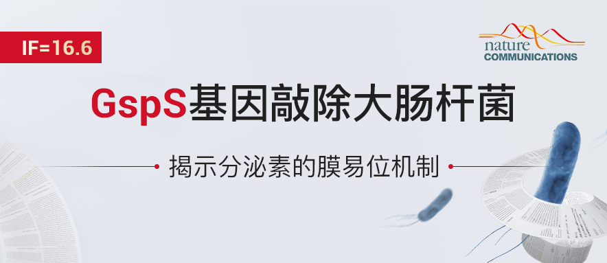 基因编辑细菌