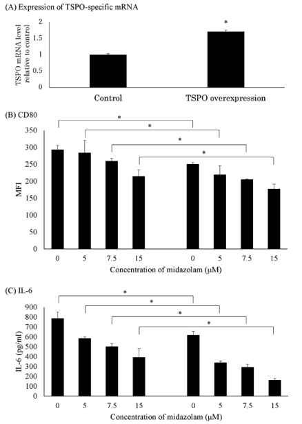 咪达唑仑对LPS诱导过表达TSPO的THP-1巨噬细胞的促炎反应的影响