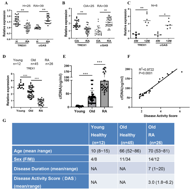 TREX1和cGAS在不同人群中的表达水平及相关性
