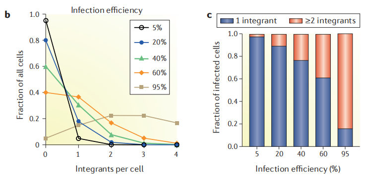 不同感染效率对应每个细胞整合的sgRNA拷贝数