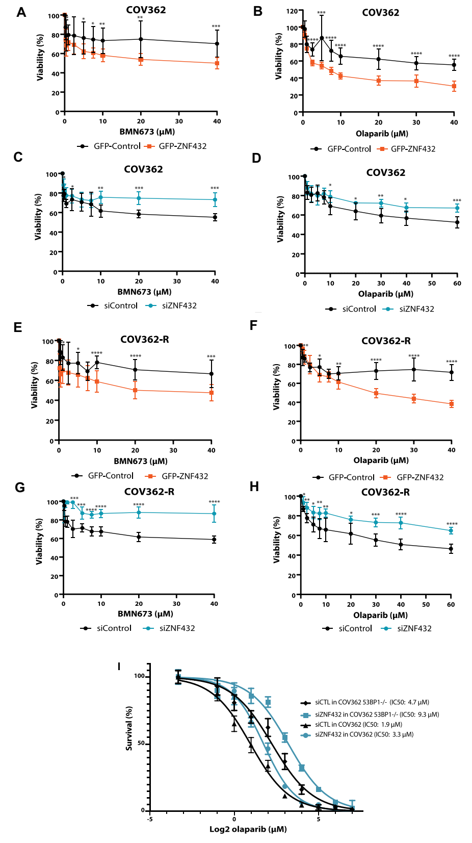 调控ZNF432表达量影响卵巢癌细胞耐药性