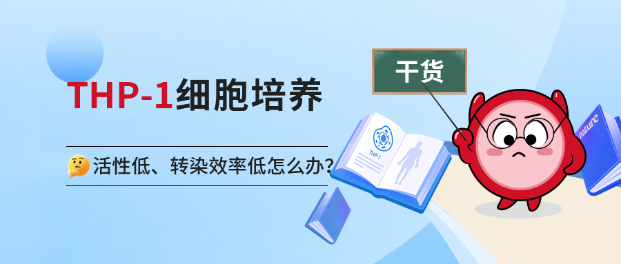 干货系列丨THP-1细胞培养小课堂