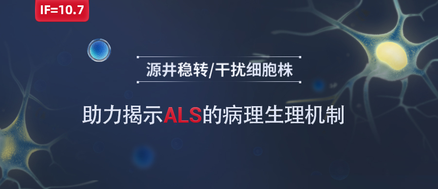 IF=10.7|m6A相关基因遗传缺陷促进ALS病理通路