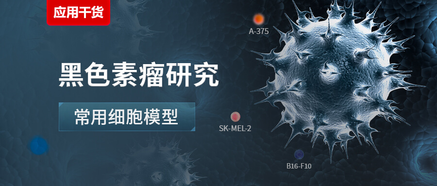 黑色素瘤研究常用细胞模型及应用