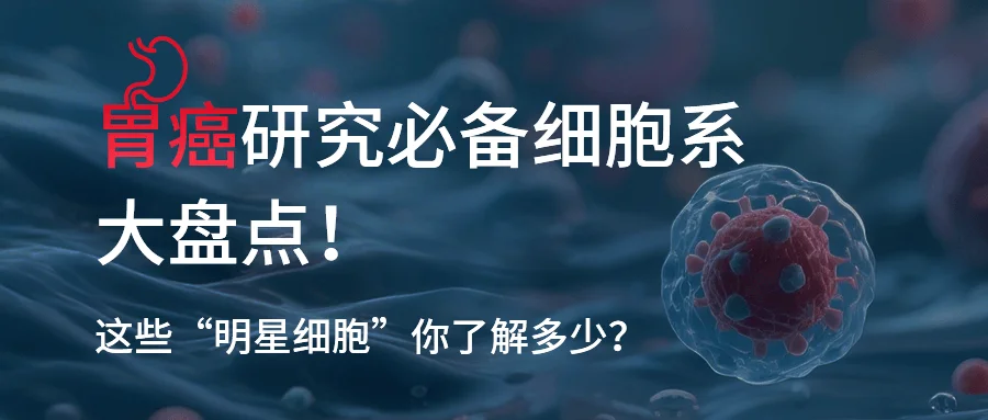 图1. HOTAIR的敲低可抑制胃癌细胞的克隆形成、迁移及侵袭、抗失巢凋亡能力，从而促细胞凋亡[2]