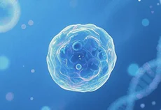 干货丨GL261细胞培养和基因编辑Tips