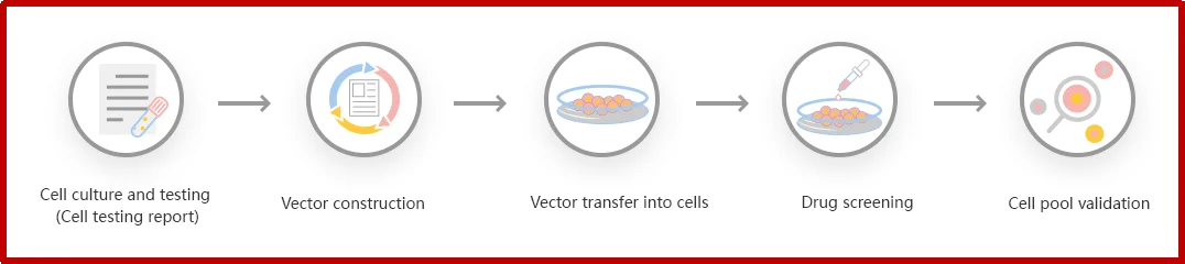 定制CRISPR-U™ KO pool的工作流程