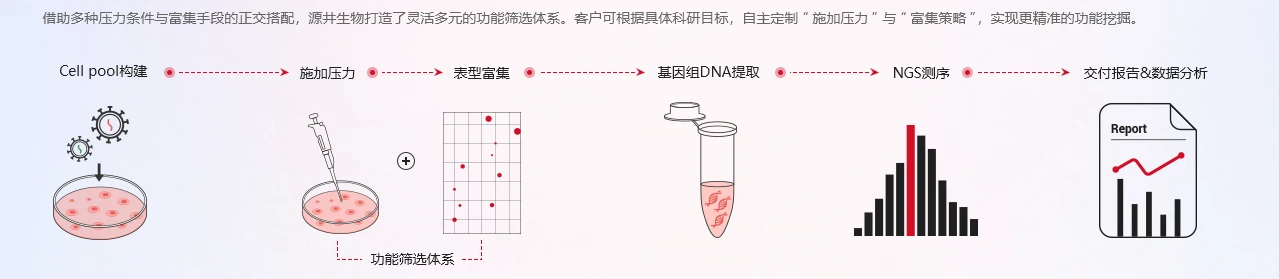 技术路线