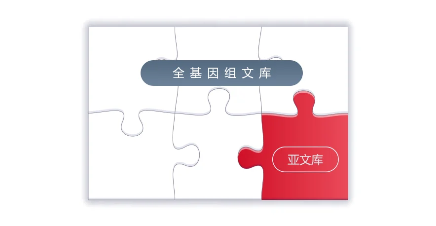 全基因组文库与亚文库