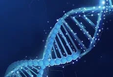 从基因密码到细胞疗法：CRISPR筛选揭示iTreg 细胞疗法新思路