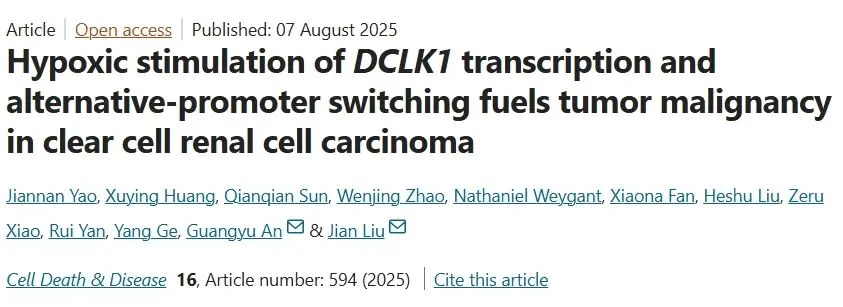 Hypoxic stimulation of DCLK1 transcription and alternative-promoter switching fuels tumor malignancy in clear cell renal cell carcinoma