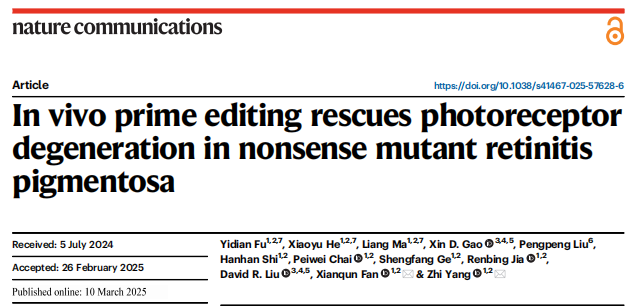 Nature Communications 文章封面