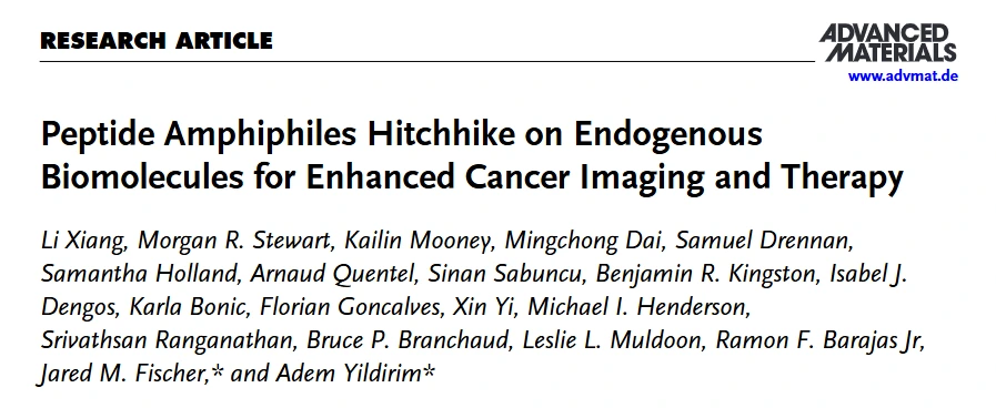 Advanced Materials 文章封面