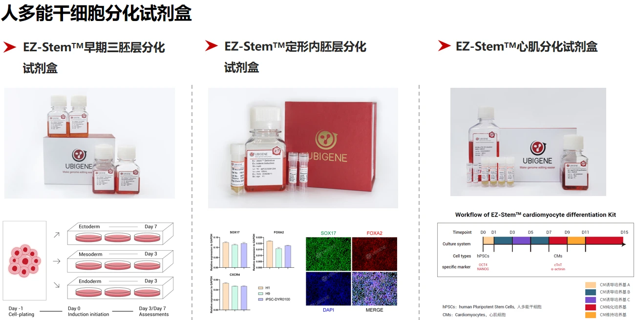 图5.源井生物干细胞分化试剂盒产品展示